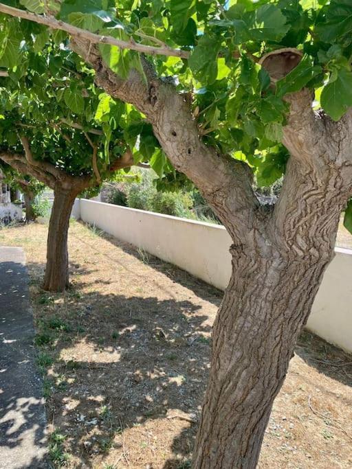 Τέσσερις Εποχές Aetos (Evia) Exterior foto